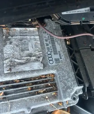 Audi A6 S6 C7 4G Engine control unit/module 4G0907401F 4G0907401 0281017722