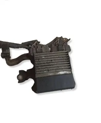 Toyota Avensis T250 Fuel injection control unit/module 8987171010 1310001331