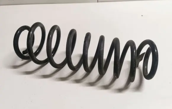 Ford Mustang V Rear coil spring BR335560AB