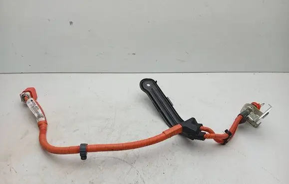 Lexus RX 450H Other wiring loom 821H248010 8281548470