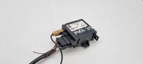 Peugeot 406 Other control units/modules 221000320300 811541