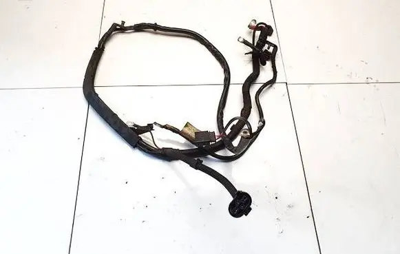 Other wiring loom