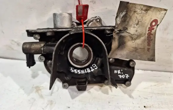 Opel Insignia A Oil pump 55581829