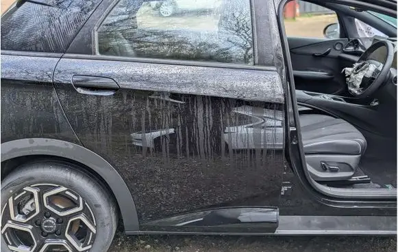 BYD Dolphin Rear door