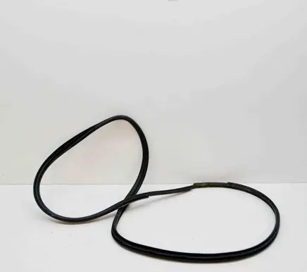 Toyota Hilux (AN120, AN130) Rubber seal rear door 