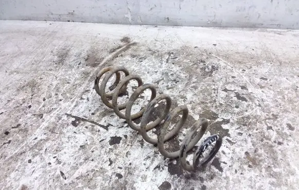 Skoda Octavia Mk2 (1Z) Rear coil spring