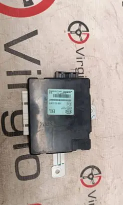 Other control units/modules