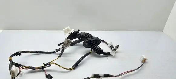 Rear door wiring loom