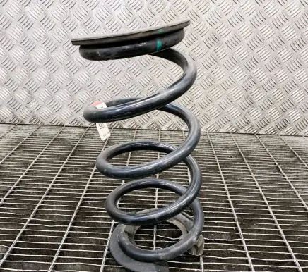 Tesla Model 3 Rear coil spring 104447500E 104447201D