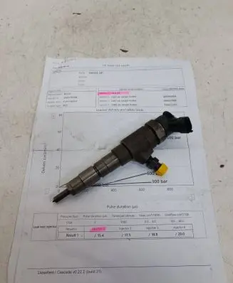 Citroen C4 Grand Picasso Fuel injector 0445110566