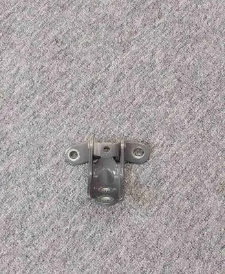 Rear door lower hinge