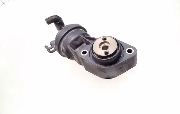 Volkswagen PASSAT B5 Intake manifold