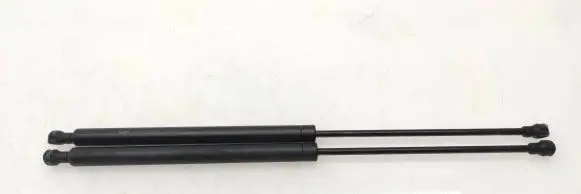 Tailgate/trunk strut/damper
