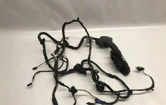 BMW 5 GT F07 Front door wiring loom 9210119 9210120