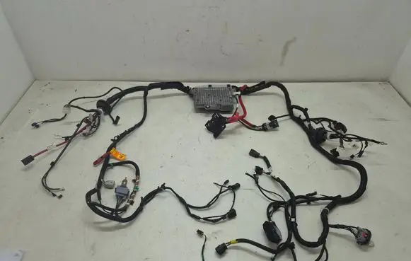 Tesla Model Y Juniper Other wiring loom 149731900E