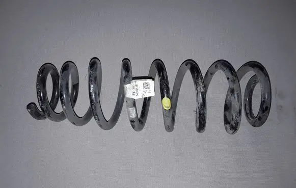 Hyundai Ioniq Rear coil spring 55350G2050