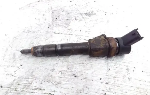Renault Laguna II Fuel injector 0445110110 8200100272