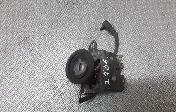 Fiat Punto (188) Tailgate exterior lock 