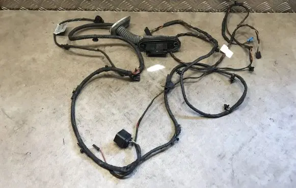 BMW 5 GT F07 Front door wiring loom 9169241