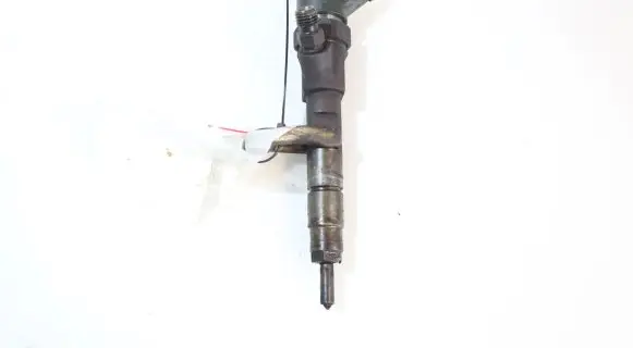 Renault Megane II Fuel injector 0445110110B