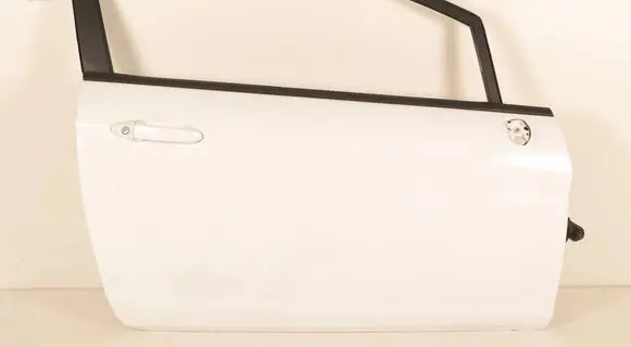 Ford Fiesta Front door 