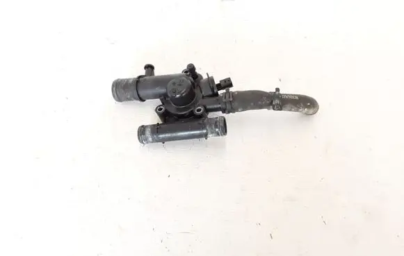 Thermostat/thermostat housing