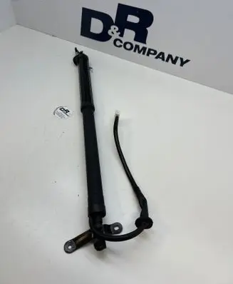 Toyota RAV 4 (XA50) Tailgate/trunk strut/damper 6891042060