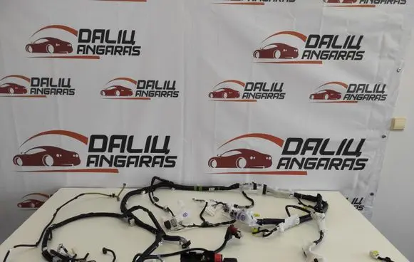 Toyota RAV 4 (XA50) Tailgate/trunk wiring harness 821614AE60 C0003210217
