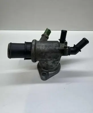 Thermostat/thermostat housing