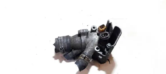 Renault Scenic I Engine coolant pipe/hose