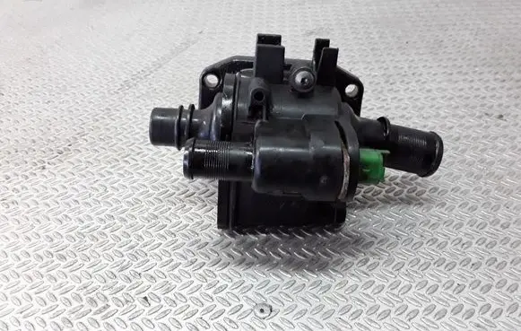 Thermostat/thermostat housing