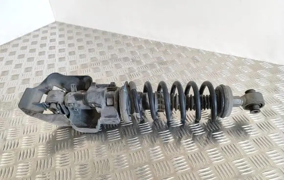 Citroen DS7 Crossback Rear shock absorber with coil spring 9829356780