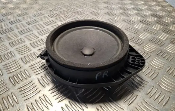 Opel Insignia A Front door speaker PPP25GF15