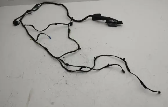 Rear door wiring loom