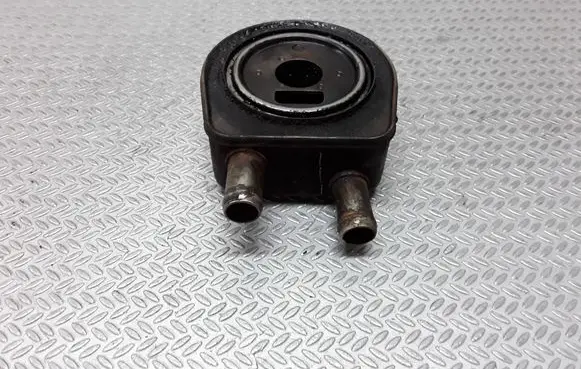 Renault Trafic II (X83) Oil filter mounting bracket