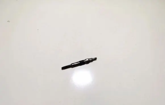 Renault Scenic I Glow plug 0250202022