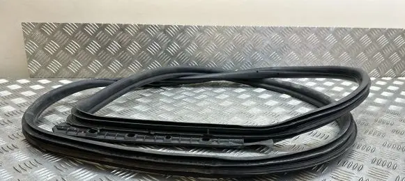 BMW 2 F22 F23 Rubber seal front door (on door) 15310510