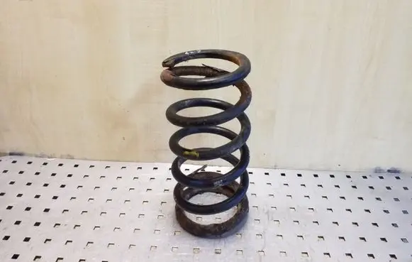 Rear coil spring
