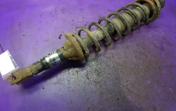 Honda Accord Rear shock absorber with coil spring 