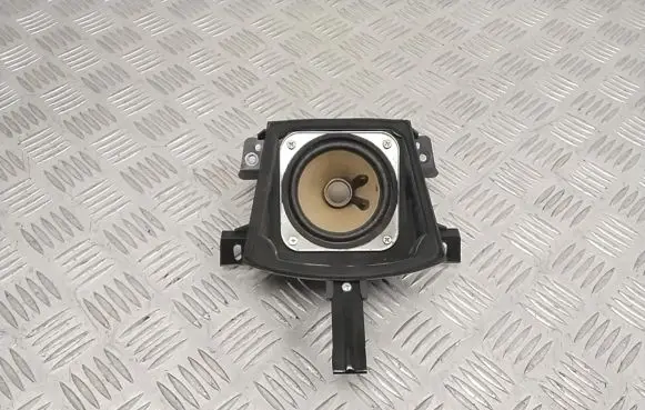 Opel Antara Panel speaker 96673597