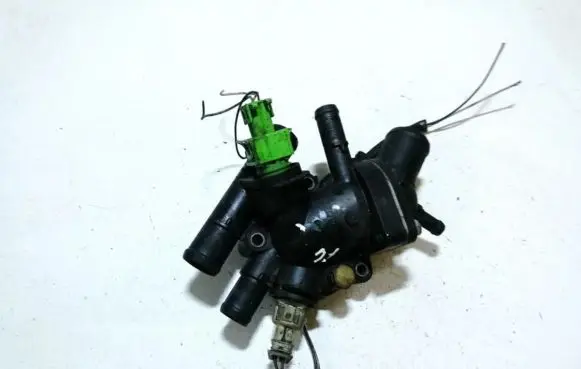 Renault Scenic I Engine coolant pipe/hose 8200065390 8100065392