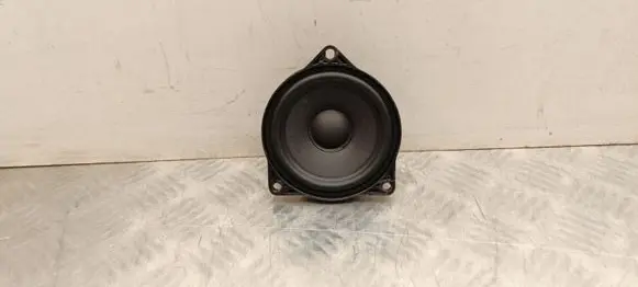 Tesla Model Y Juniper Panel speaker 107974200D