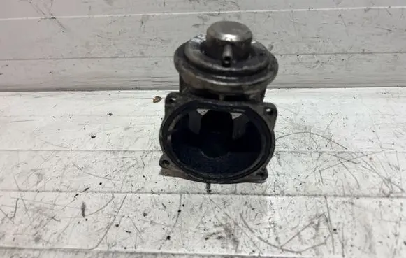 Volkswagen Phaeton EGR valve 07Z131501A V200 043410010