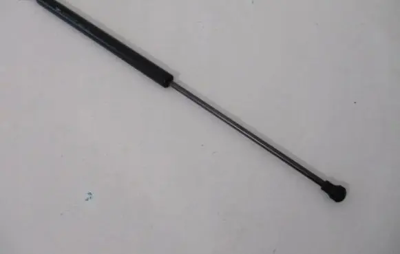Tailgate strut