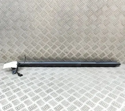 BMW X6 G06 Tailgate/trunk strut/damper 5A1DEC5