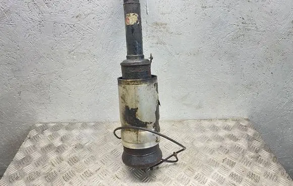 Land Rover Range Rover Sport L320 Air suspension front shock absorber 22230998