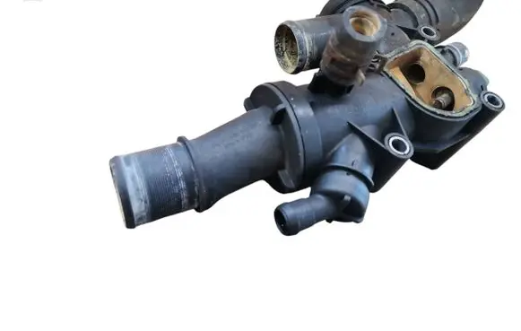 Thermostat/thermostat housing
