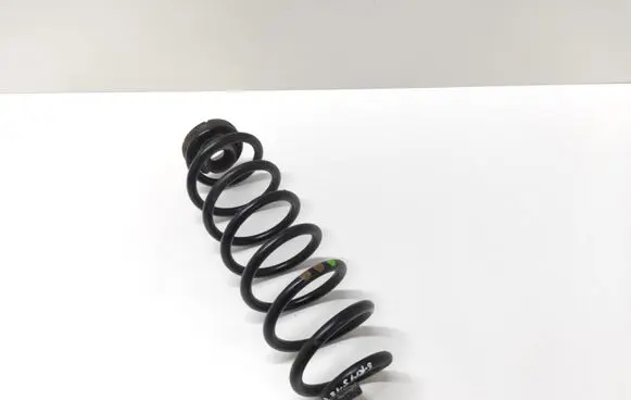 Skoda Roomster (5J) Rear coil spring