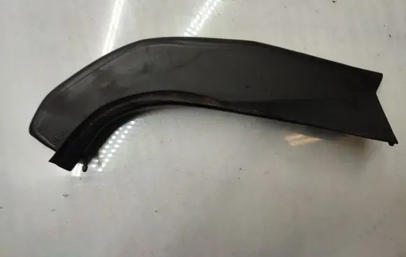 Rear/tail light trim molding