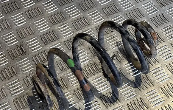 Volkswagen PASSAT B5 Rear coil spring